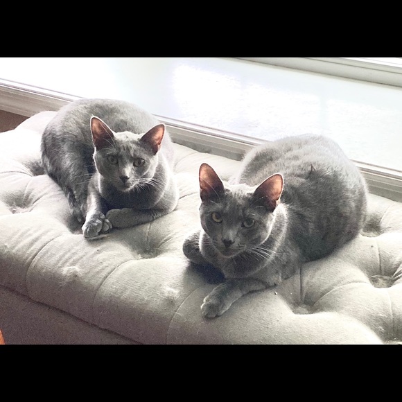 Meet your Posher, Jill - Picture 6 of 12